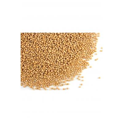 HARDAL TOHUMU 100 GR.